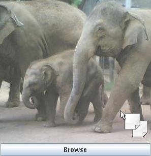 Thin Upload Screenshot